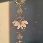 fleur blanche d'un attrape soleil