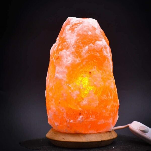 lampe en cristal de sel d'Himalaya 2-3kg